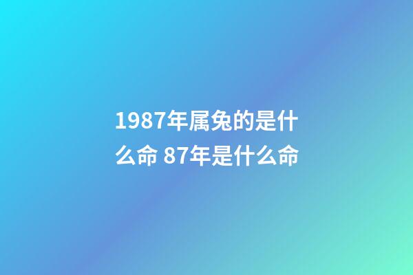 1987年属兔的是什么命 87年是什么命-第1张-观点-玄机派